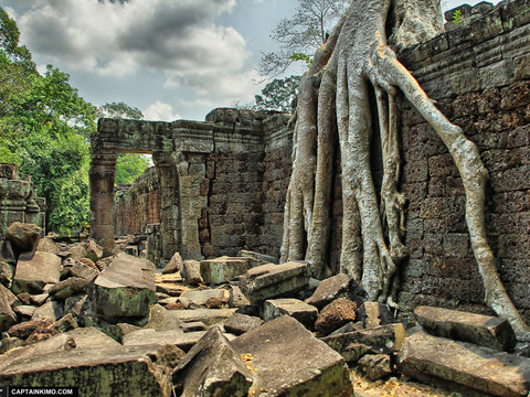 Siem Reap Family Overview