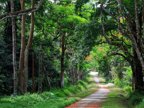 Eco Trails of Vietnam