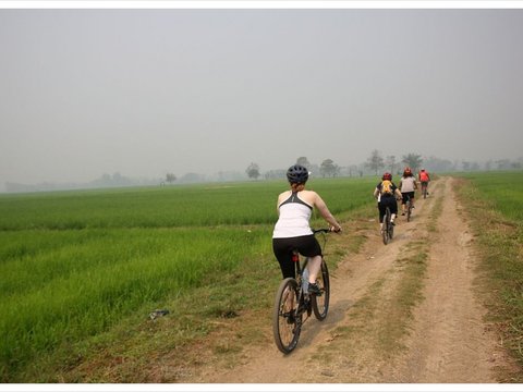 Southern Thailand Family Tour 