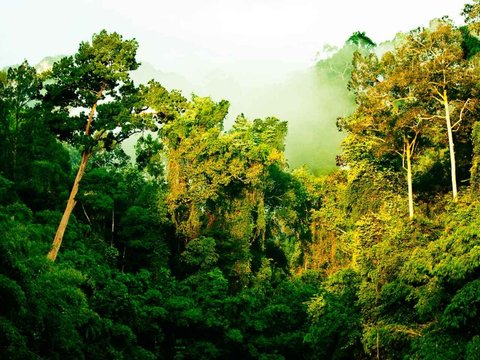 Southern Thailand Family Tour 