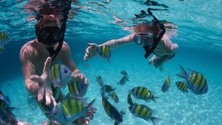 Koh Nang Yuan Snorkeling Tour 