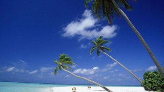 Koh Samui Beach Holiday 