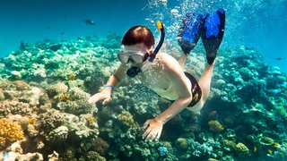 Samui Coral Island Snorkeling Tour 