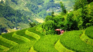 Sapa - Bac Ha  