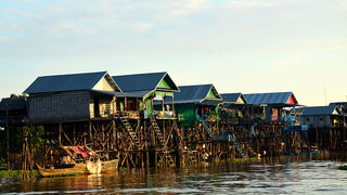Kompong Phluk Flooded Forest Tour 