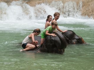 Luang Prabang - Mahout Course - Lao Spirit Resort (B, L)