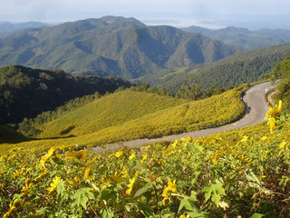 Mae Hong Son City and Temple Tour 1 day