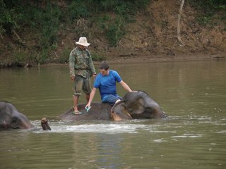 Luang Prabang – Mahout Experience (B, L)