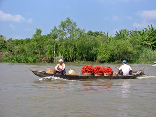 Mekong – Sai Gon (B, L)