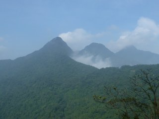 Tam Dao National Park (B)