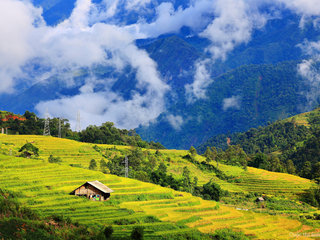 Sapa – Ta Van – Lao Chai - Hanoi (B, L, D)