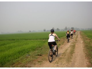Bangkok – Cycling Tour (B, L)