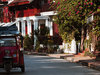 Luang Prabang Family Reveal 