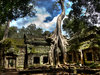 Cambodia Honeymoon Package