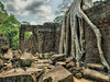 Siem Reap Family Overview