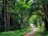 Eco Trails of Vietnam