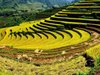 Northern Vietnam Catholic Tour