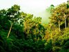 Southern Thailand Family Tour 