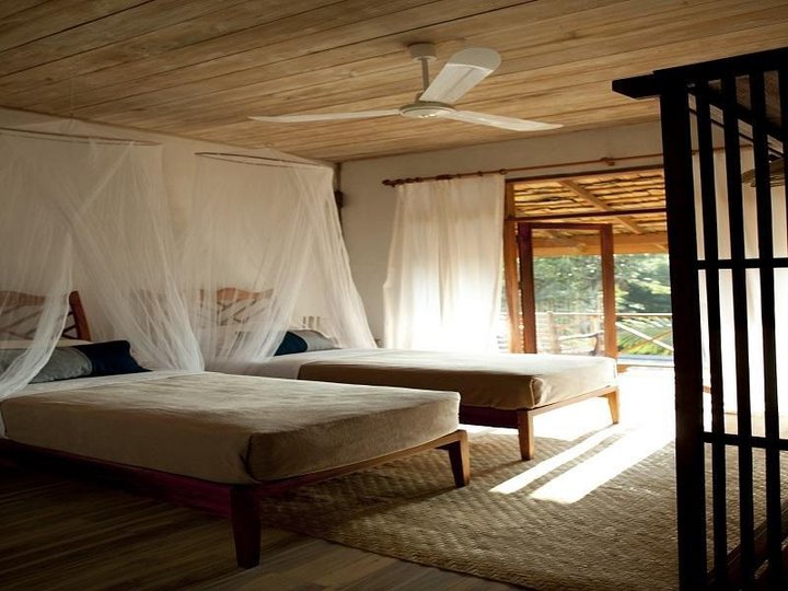 My Dream 